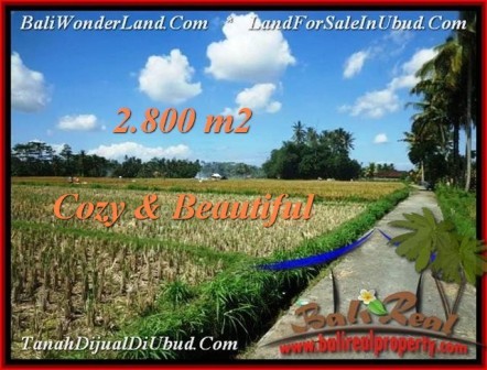 JUAL TANAH MURAH di UBUD BALI 2,800 m2 View sawah