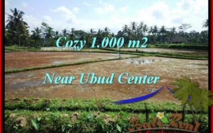 INVESTASI PROPERTI, DIJUAL TANAH di UBUD BALI TJUB501