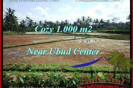 INVESTASI PROPERTI, DIJUAL TANAH di UBUD BALI TJUB501