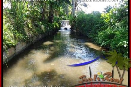 TANAH di UBUD BALI DIJUAL 1,000 m2 View Sawah dan sungai kecil link Villa