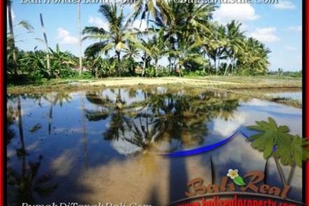 TANAH JUAL MURAH UBUD 10 Are View Sawah dan sungai kecil link Villa