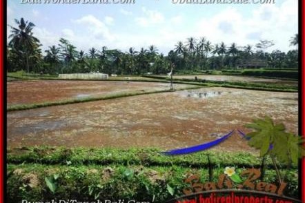 JUAL MURAH TANAH di UBUD 1,000 m2 di Sentral Ubud