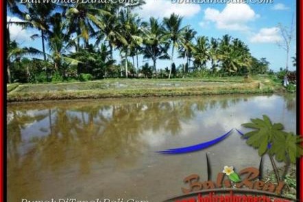 TANAH di UBUD JUAL 1,000 m2 View Sawah dan sungai kecil link Villa