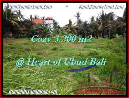 DIJUAL TANAH di UBUD BALI Untuk INVESTASI TJUB510