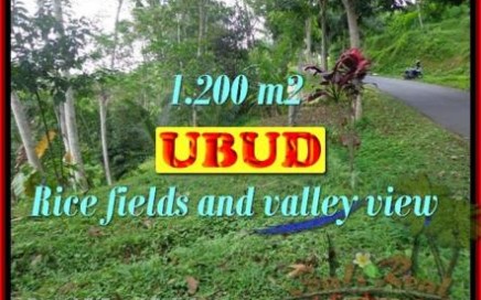 TANAH di UBUD JUAL 1,200 m2 view sawah dan tebing