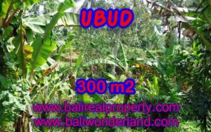 JUAL TANAH di UBUD BALI 3 Are View kebun alami