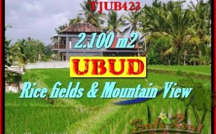 JUAL MURAH TANAH di UBUD Untuk INVESTASI TJUB423