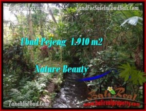 TANAH di UBUD JUAL 1,910 m2 View Tebing dan sungai kecil