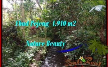 TANAH di UBUD JUAL 1,910 m2 View Tebing dan sungai kecil