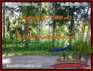 JUAL TANAH di UBUD 20 Are View Tebing dan sungai