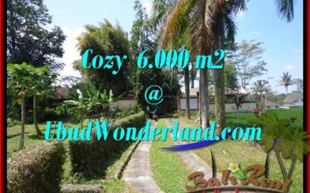 JUAL TANAH di UBUD BALI 60 Are View Sawah link Villa