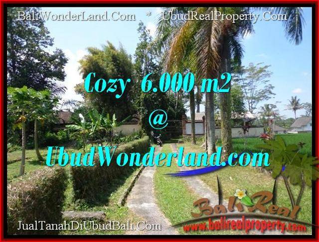 JUAL TANAH di UBUD BALI 60 Are View Sawah link Villa