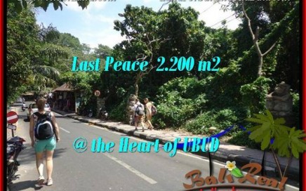 JUAL MURAH TANAH di UBUD 2,200 m2 di Sentral Ubud