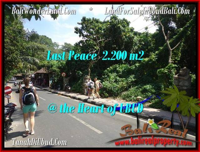 JUAL MURAH TANAH di UBUD 2,200 m2 di Sentral Ubud