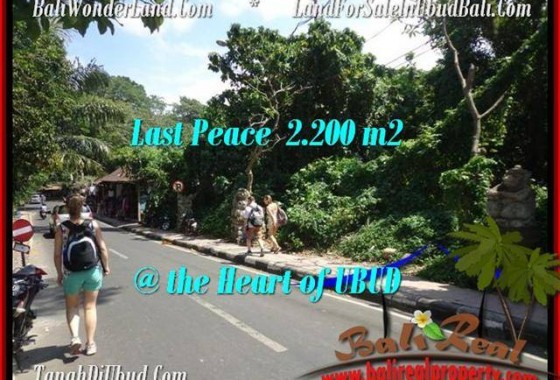 JUAL TANAH di UBUD 22 Are View Sungai link Villa