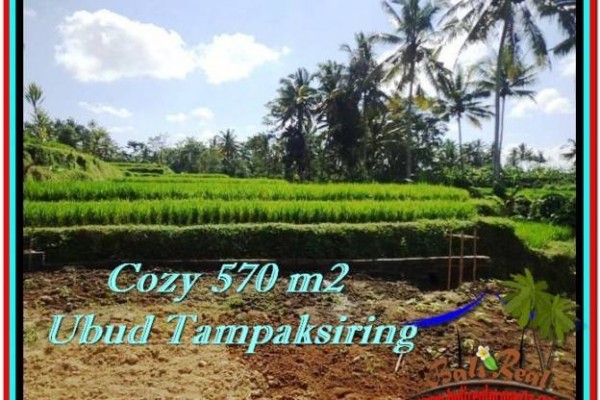 JUAL TANAH di UBUD 5.7 Are View sawah dan sungai kecil