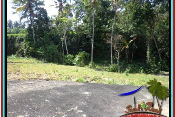 TANAH di UBUD BALI DIJUAL TJUB511