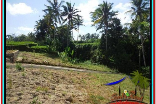 TANAH di UBUD BALI DIJUAL Untuk INVESTASI TJUB511