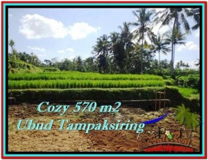 TANAH MURAH di UBUD BALI 570 m2 View sawah dan sungai kecil 