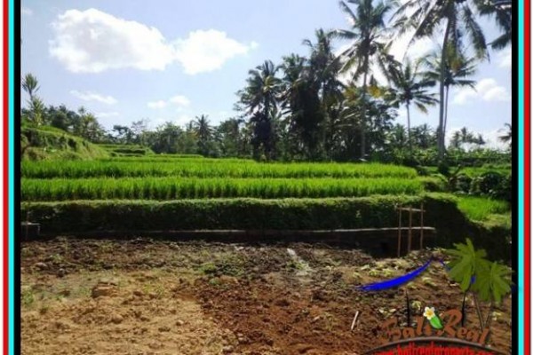 TANAH JUAL MURAH UBUD 5.7 Are View sawah dan sungai kecil