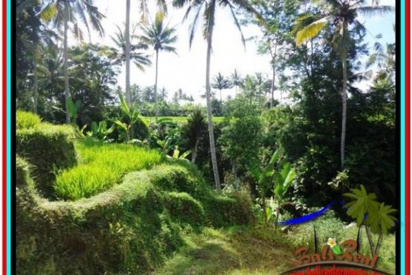 TANAH di UBUD DIJUAL Untuk INVESTASI TJUB511