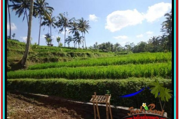 DIJUAL TANAH di UBUD BALI 5.7 Are di Ubud Tampak Siring