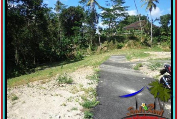 JUAL MURAH TANAH di UBUD 570 m2 di Ubud Tampak Siring