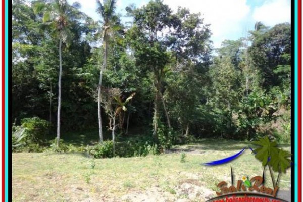 TANAH di UBUD JUAL 570 m2 View sawah dan sungai kecil