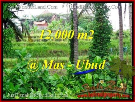 TANAH JUAL MURAH UBUD 12,000 m2 View sawah dan sungai