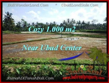 TANAH MURAH di UBUD BALI 1,000 m2 di Sentral Ubud