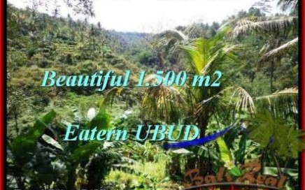 TANAH JUAL MURAH UBUD 1,500 m2 View Tebing dan sungai besar