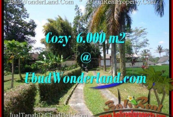 JUAL TANAH di UBUD 60 Are View Sawah link Villa