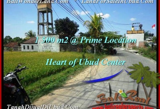 INVESTASI PROPERTY, JUAL TANAH MURAH di UBUD BALI TJUB508