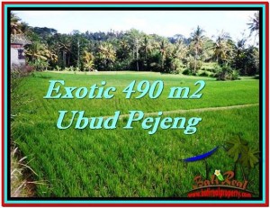 DIJUAL TANAH di UBUD BALI 4.9 Are di Ubud Tampak Siring