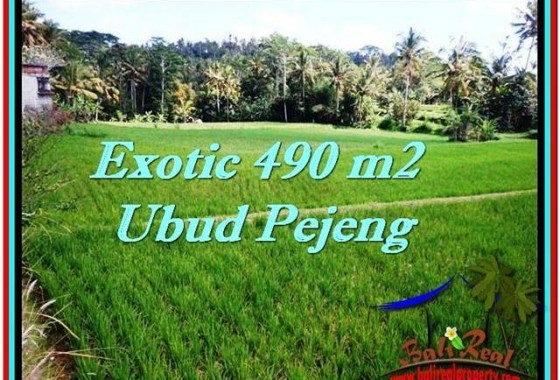 DIJUAL TANAH di UBUD 4.9 Are di Ubud Tampak Siring