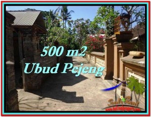 JUAL TANAH MURAH di UBUD BALI 500 m2 di Ubud Pejeng