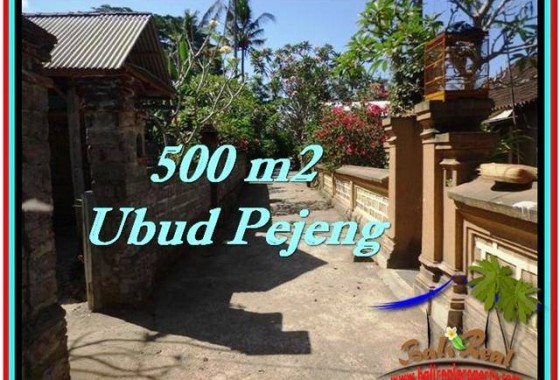 JUAL TANAH MURAH di UBUD BALI 500 m2 di Ubud Pejeng