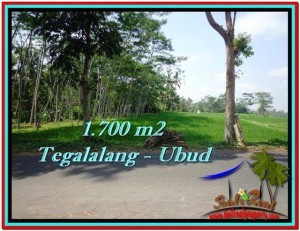 INVESTASI PROPERTY, TANAH MURAH di UBUD BALI TJUB518