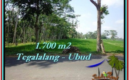 INVESTASI PROPERTY, TANAH MURAH di UBUD BALI TJUB518