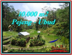 JUAL TANAH di UBUD BALI 10,000 m2  View Sawah, Kolam, Pancoran