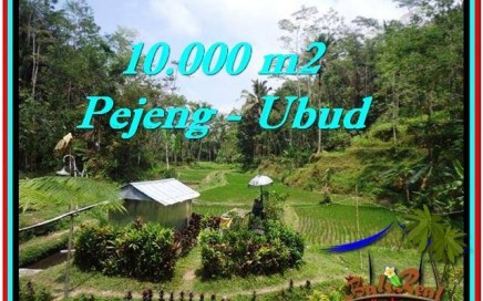 JUAL TANAH di UBUD BALI 10,000 m2 View Sawah, Kolam, Pancoran