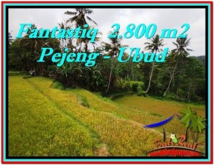 TANAH JUAL MURAH  UBUD 28 Are View Sawah