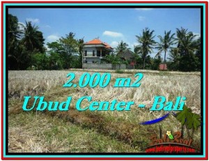 INVESTASI PROPERTI, DIJUAL TANAH di UBUD BALI TJUB524