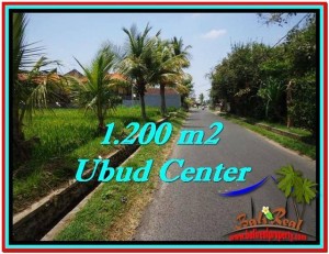 JUAL TANAH MURAH di UBUD BALI 1,200 m2  View Sawah, sungai kecil, link Villa