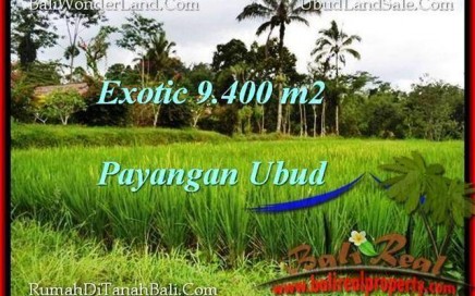 TANAH DIJUAL MURAH di UBUD 94 Are di Ubud Payangan