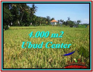 TANAH di UBUD BALI DIJUAL MURAH 40 Are View Sawah