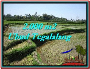 TANAH MURAH di UBUD BALI 2,000 m2 di Ubud Tegalalang