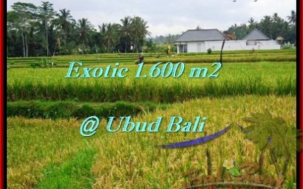 TANAH di UBUD BALI DIJUAL MURAH 16 Are View sawah lingkungan villa