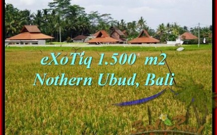 TANAH di UBUD DIJUAL TJUB488