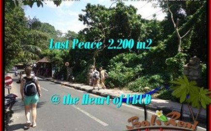 TANAH di UBUD BALI DIJUAL MURAH 2,200 m2 View Sungai link Villa